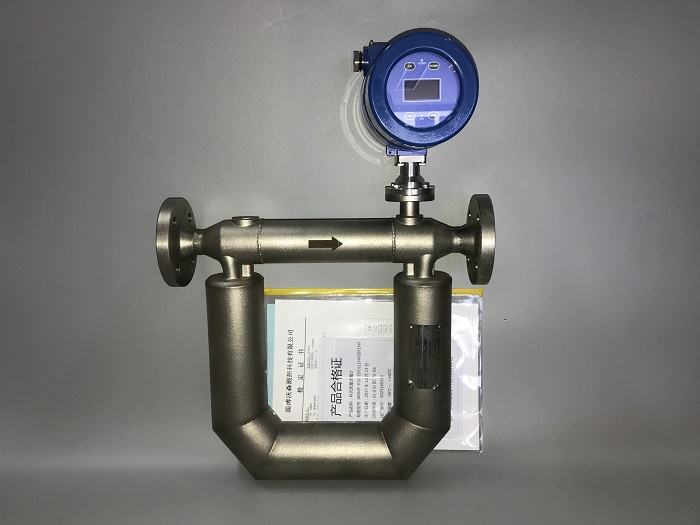 質(zhì)量流量計 (7).jpg